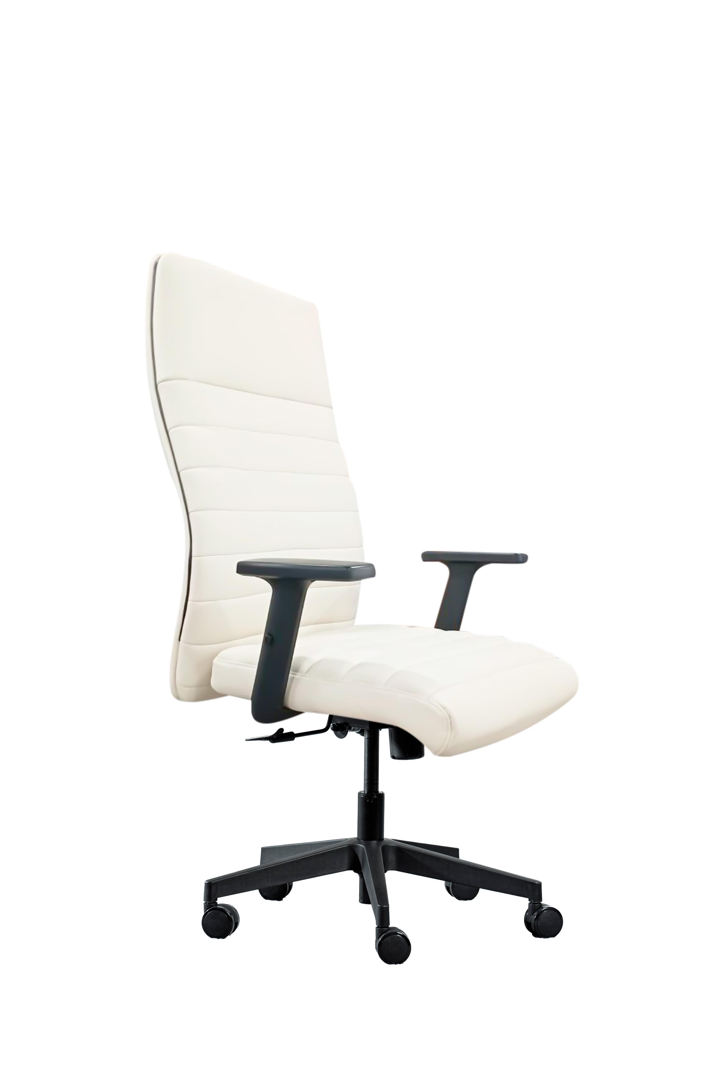 Kürsi Deri BRAVO goňras