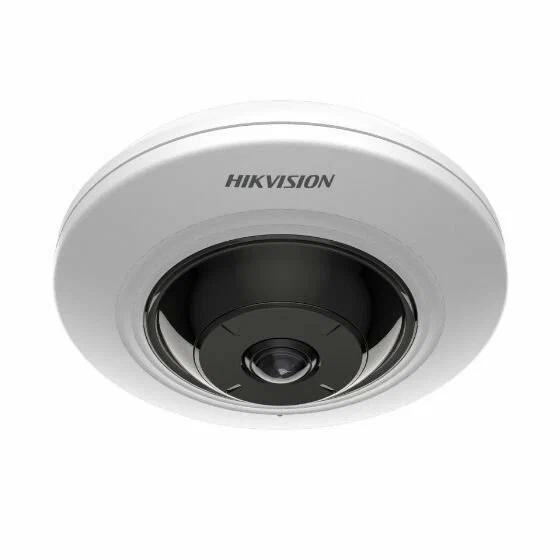Wideokamera Hikvision DS-2CD2955G0-ISU