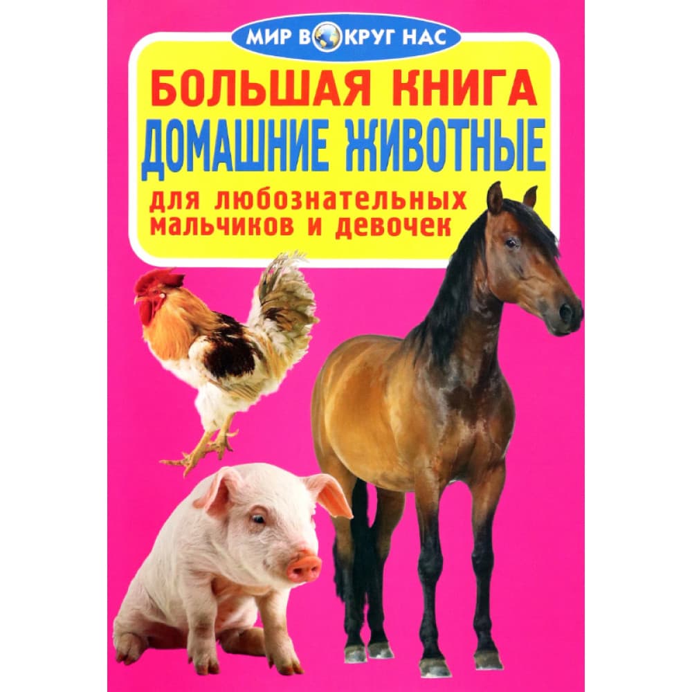 Большая книга Домашние животные