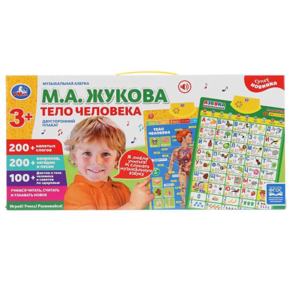 Двусторонний плакат «Тело человека» (М. А. Жукова)