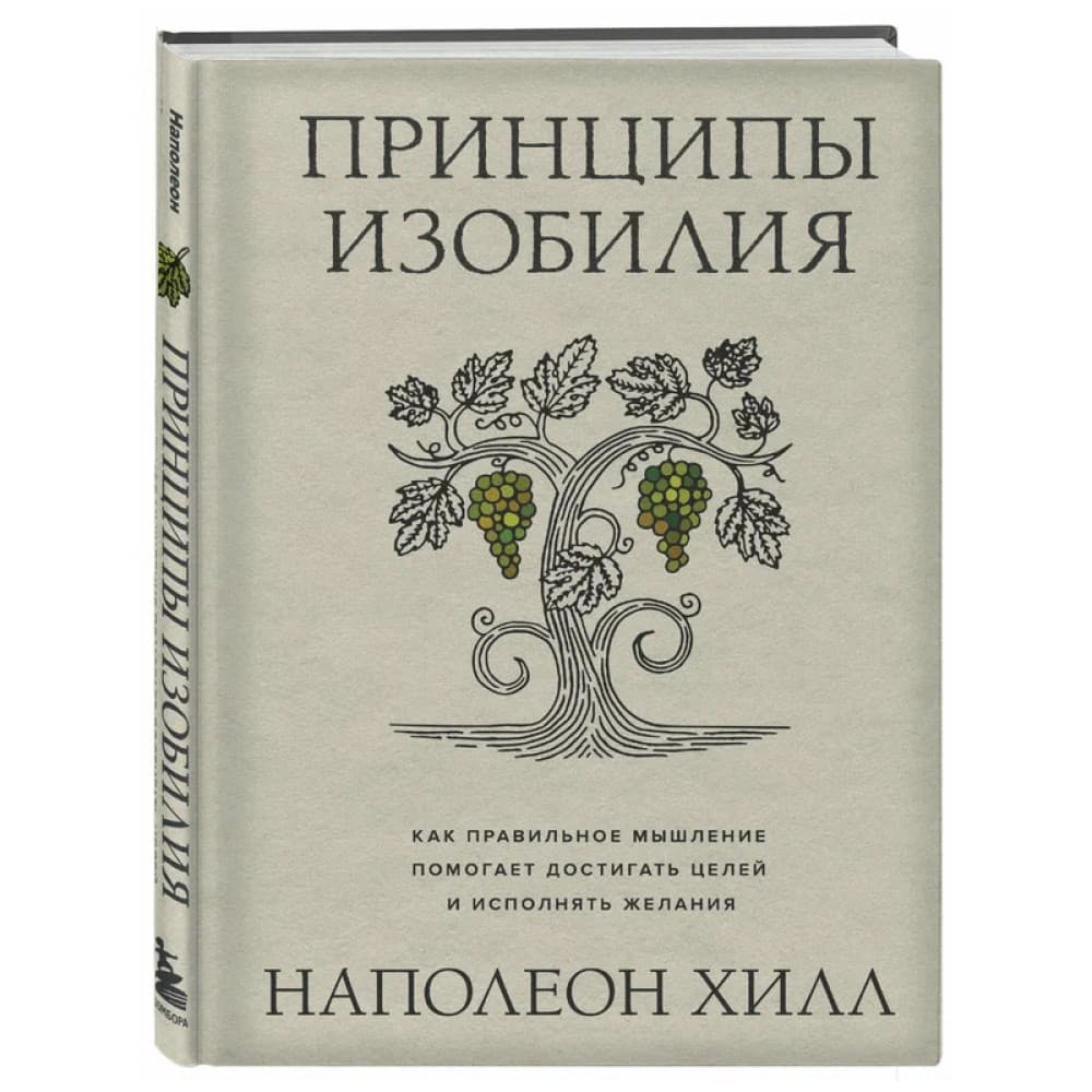 Принципы изобилия. Как правильное мышление помогает достигать целей и исполнять желания