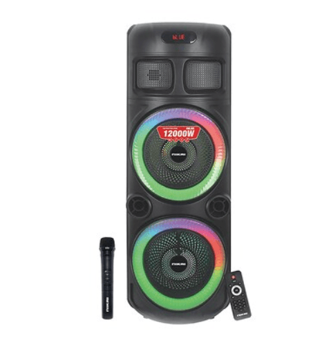 Колонка с микрофоном NIKAI NPRTY810