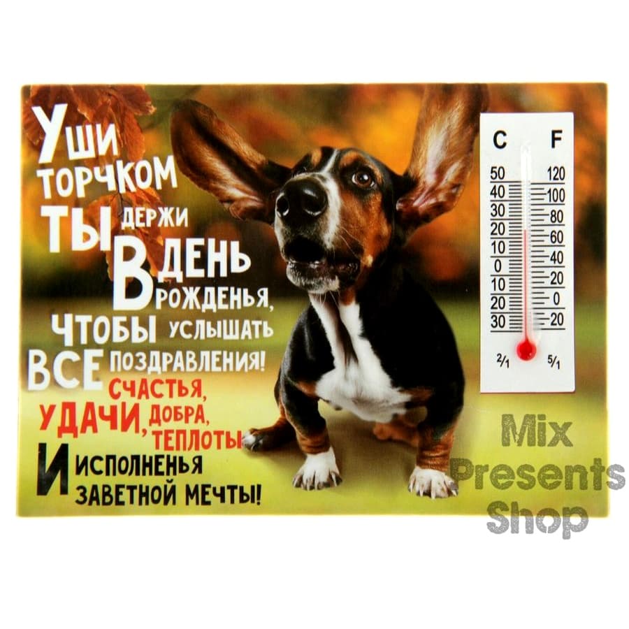 Магнит с термометром "В День Рождения - поздравления"